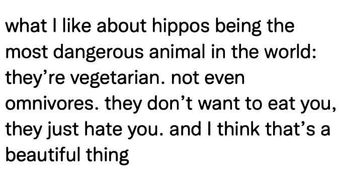 love fake people i love games - what I about hippos being the most dangerous animal in the world they're vegetarian. not even omnivores. they don't want to eat you, they just hate you. and I think that's a beautiful thing