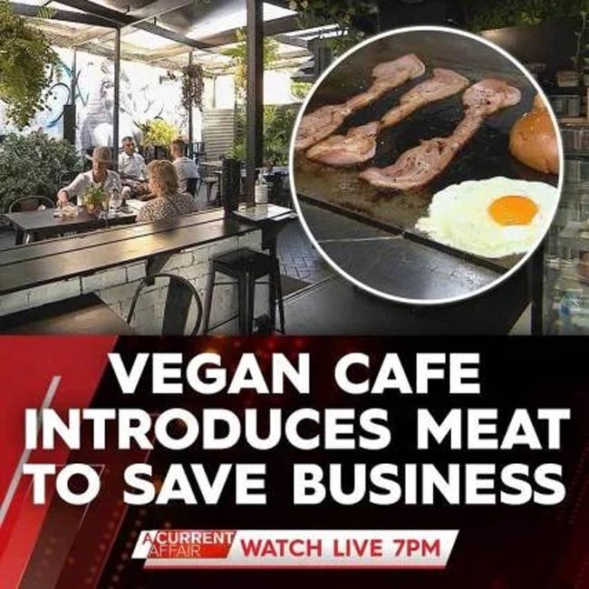 funny memes and pics - bbb accredited business - Vegan Cafe Introduces Meat To Save Business Acurrent Affair Watch Live 7PM