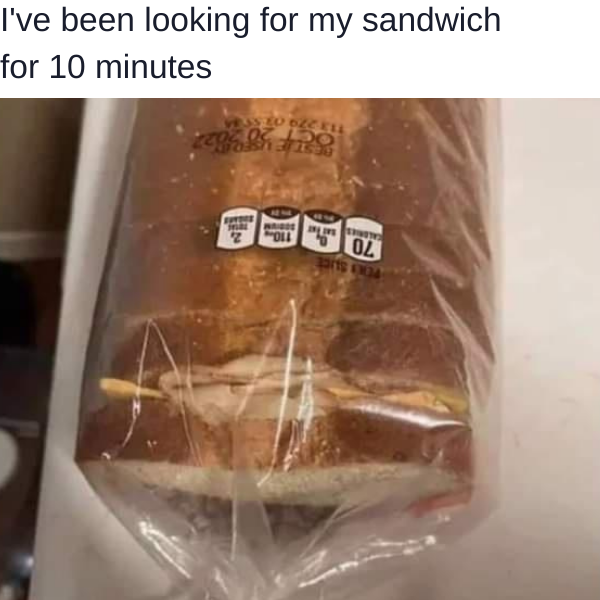 funny memes and pics - been looking for my sandwich - I've been looking for my sandwich for 10 minutes Vess To Dzc Kil Oct 20 20 Best E Users 24 Wridos Calories Bat 70 Per'S Slice 110 wil