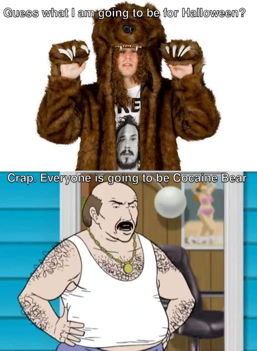 funny memes and pics - taylor swift bear jacket workaholics - Guess what I am going to be for Halloween? Re Crap. Everyone is going to be Cocaine Bear
