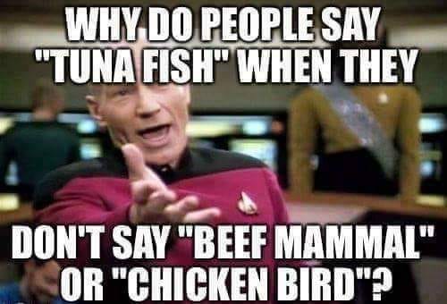 funny memes and pics - picard wtf - Why Do People Say "Tuna Fish" When They Don'T Say "Beef Mammal" Or "Chicken Bird"?