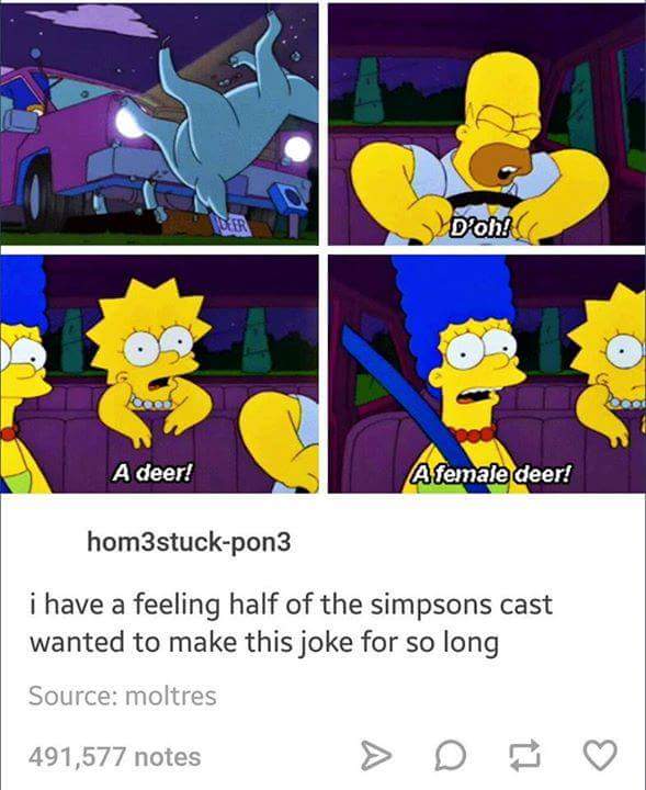 funny memes and pics - d oh a deer a female deer - A deer! D'oh! A female deer! hom3stuckpon3 i have a feeling half of the simpsons cast wanted to make this joke for so long Source moltres 491,577 notes