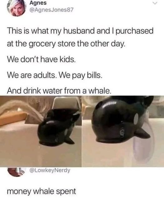 Agnes This is what my husband and I purchased at the grocery store the other day. We don't have kids. We are adults. We pay bills. And drink water from a whale. money whale spent
