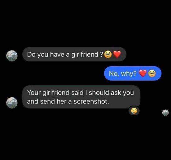 cool random pics and memes - Funny meme - Do you have a girlfriend? No, why? Your girlfriend said I should ask you and send her a screenshot.
