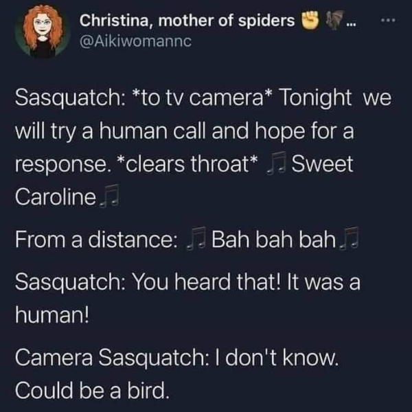 cool random pics and memes - sasquatch sweet caroline - Christina, mother of spiders Sasquatch to tv camera Tonight we will try a human call and hope for a response. clears throat Sweet Caroline From a distance Bah bah bah Sasquatch You heard that! It was