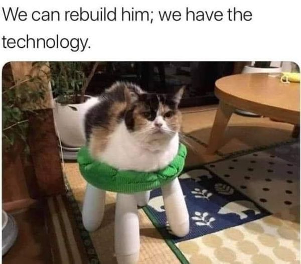 cool random pics and memes - photo caption - We can rebuild him; we have the technology. er