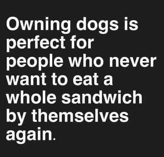 dank memes and pics - people cry not because they are weak - Owning dogs is perfect for people who never want to eat a whole sandwich by themselves again.