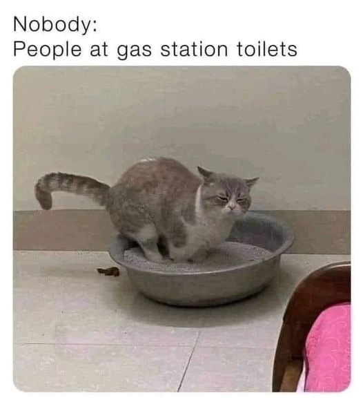 dank memes and pics - you smell success meme - Nobody People at gas station toilets