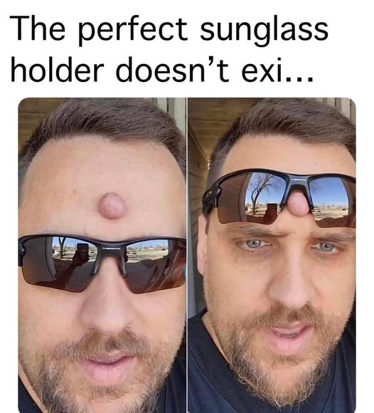 random pics and memes - -  - The perfect sunglass holder doesn't exi...