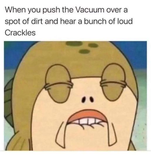 random pics and memes - cleaning nenes - When you push the Vacuum over a spot of dirt and hear a bunch of loud Crackles