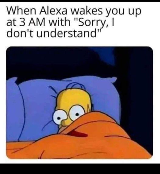 random pics and memes - cartoon - When Alexa wakes you up at 3 Am with "Sorry, I don't understand"