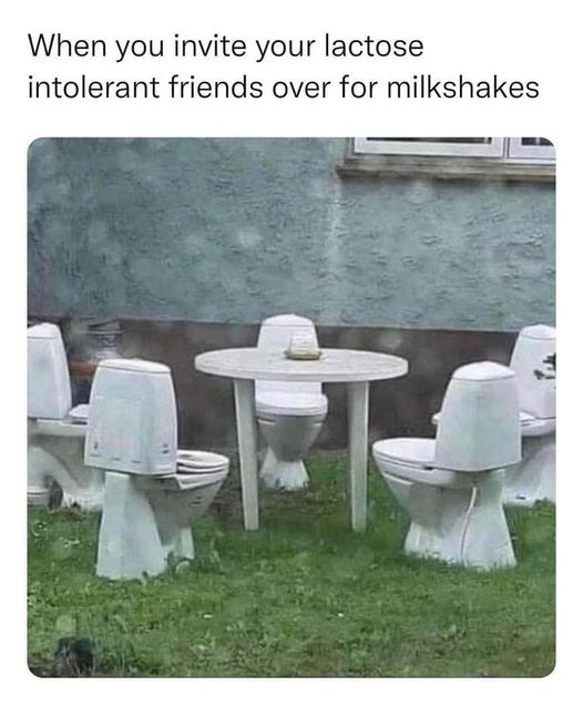 funny randoms - table - When you invite your lactose intolerant friends over for milkshakes T