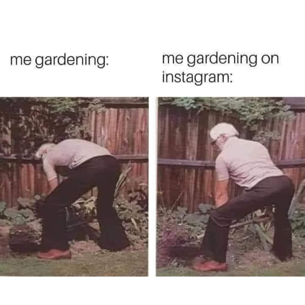 funny randoms - tree - me gardening me gardening on instagram