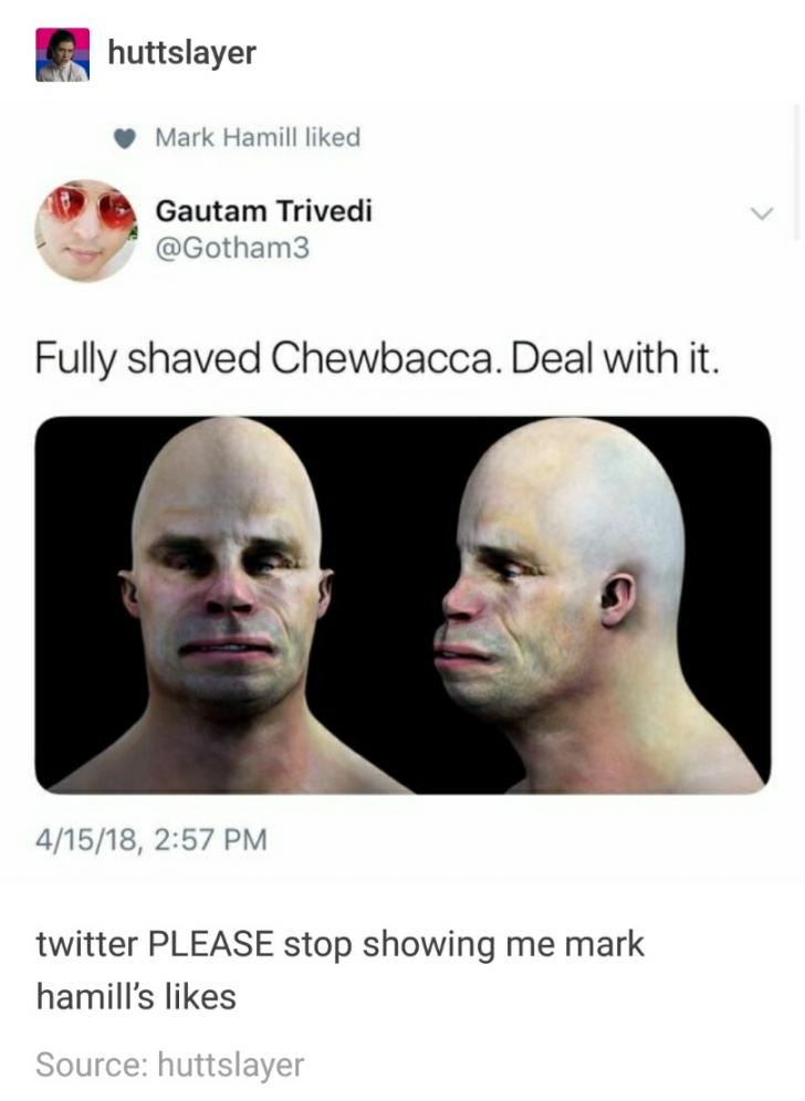 funny memes and tweets - head - huttslayer Mark Hamill d Gautam Trivedi Fully shaved Chewbacca. Deal with it. 41518, twitter Please stop showing me mark hamill's Source huttslayer