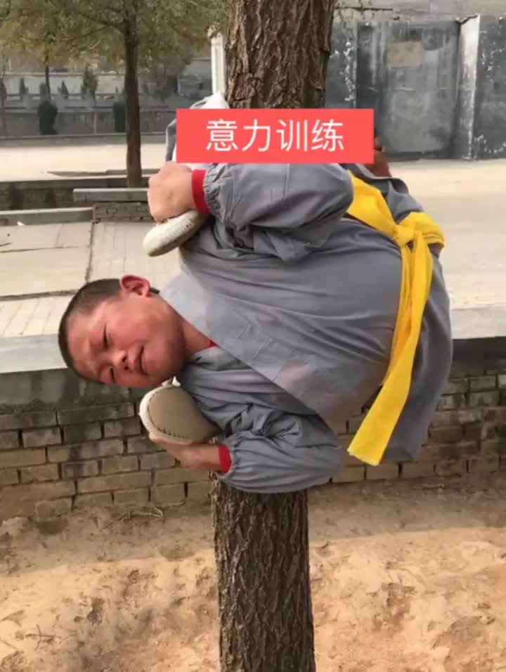 funny memes and tweets - shaolin monk wrapped around tree -