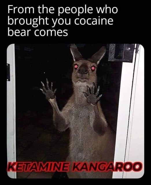 funny randoms - -  - From the people who brought you cocaine bear comes Ketamine Kangaroo