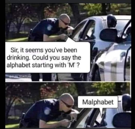 dank memes - car - Sir, it seems you've been drinking. Could you say the alphabet starting with 'M'? Un Torture Malphabet