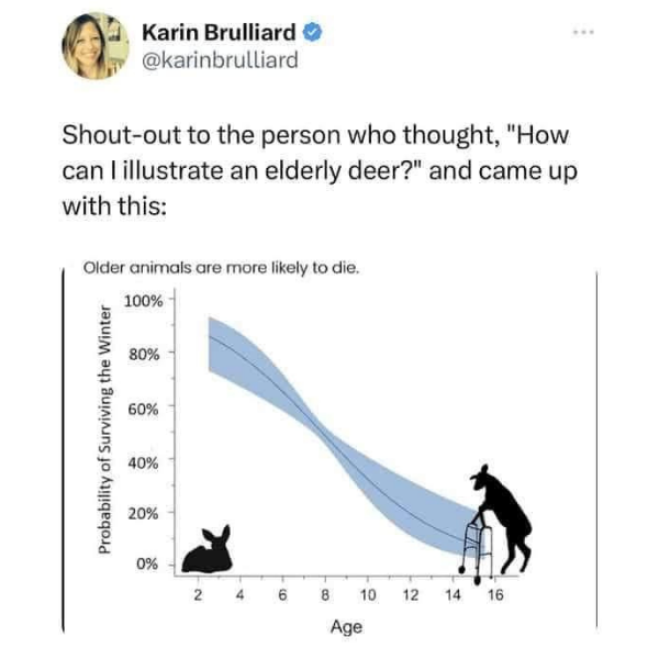 cool pics and funny memes -  Funny meme - Karin Brulliard Shoutout to the person who thought, "How can I illustrate an elderly deer?" and came up with this Older animals are more ly to die. 100% Probability of Surviving the Winter 80% 60% 40% 20% 0% 24 6 