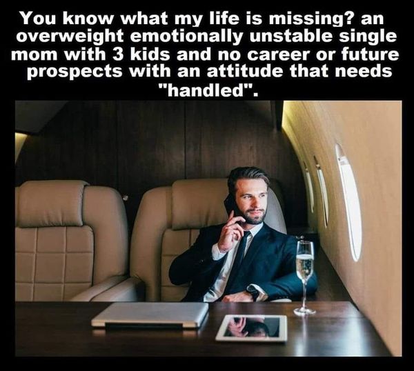 cool pics and funny memes -  rich people - You know what my life is missing? an overweight emotionally unstable single mom with 3 kids and no career or future prospects with an attitude that needs "handled".