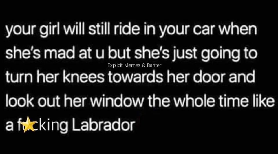 cool pics and funny memes -  your girl will still ride in your car when she's mad at u but she's just going to Explicit Memes & Banter turn her knees towards her door and look out her window the whole time a fucking Labrador