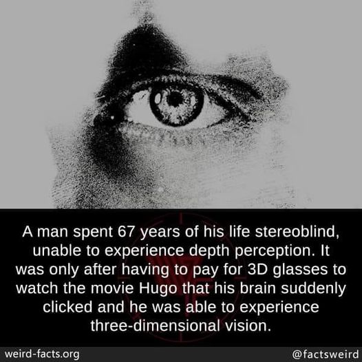cool pics and funny memes -  light colors full hd - A man spent 67 years of his life stereoblind, unable to experience depth perception. It was only after having to pay for 3D glasses to watch the movie Hugo that his brain suddenly clicked and he was able