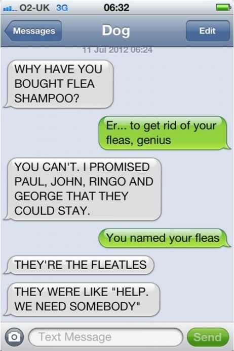 cool pics and funny memes -  texting dog - an.. 02Uk 3G Messages Dog Why Have You Bought Flea Shampoo? Er... to get rid of your fleas, genius You Can'T. I Promised Paul, John, Ringo And George That They Could Stay. You named your fleas They'Re The Fleatle
