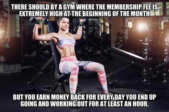 funny memes and pics -  Physical fitness - There Should By A Gym Where The Membership Fee Is Extremely High At The Beginning Of The Month But You Earn Money Back For Every Day You End Up Going And Working Out For At Least An Hour.