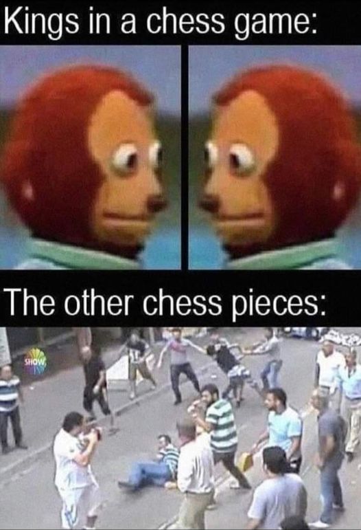random pics and memes - king sacrifice meme - Kings in a chess game The other chess pieces Show