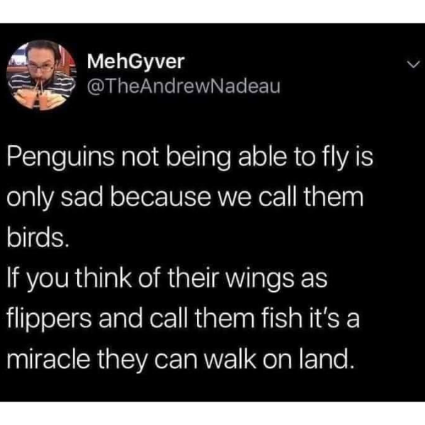 random pics and memes - presentation - MehGyver Penguins not being able to fly is only sad because we call them birds. If you think of their wings as flippers and call them fish it's a miracle they can walk on land. L
