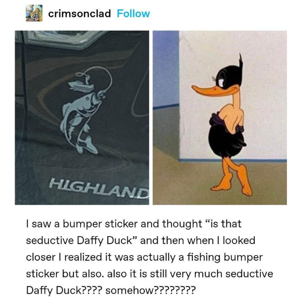 random pics and memes - cartoon - crimsonclad Highland I saw a bumper sticker and thought "is that seductive Daffy Duck" and then when I looked closer I realized it was actually a fishing bumper sticker but also. also it is still very much seductive Daffy