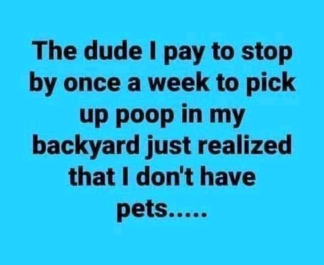 monday morning randomness - Internet meme - The dude I pay to stop by once a week to pick up poop in my backyard just realized that I don't have pets.....