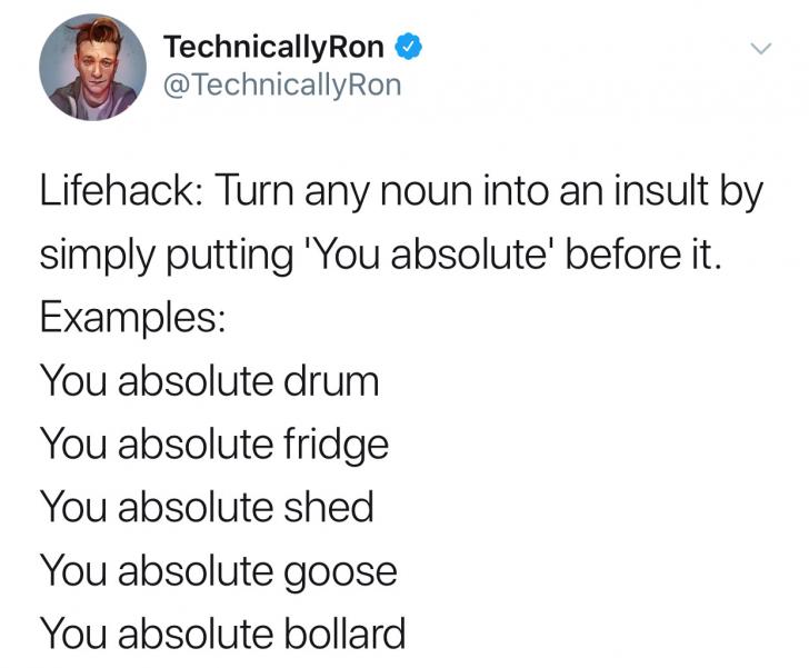 monday morning randomness - your best life won t seek validation - Technically Ron Ron Lifehack Turn any noun into an insult by simply putting 'You absolute' before it. Examples You absolute drum You absolute fridge You absolute shed You absolute goose Yo