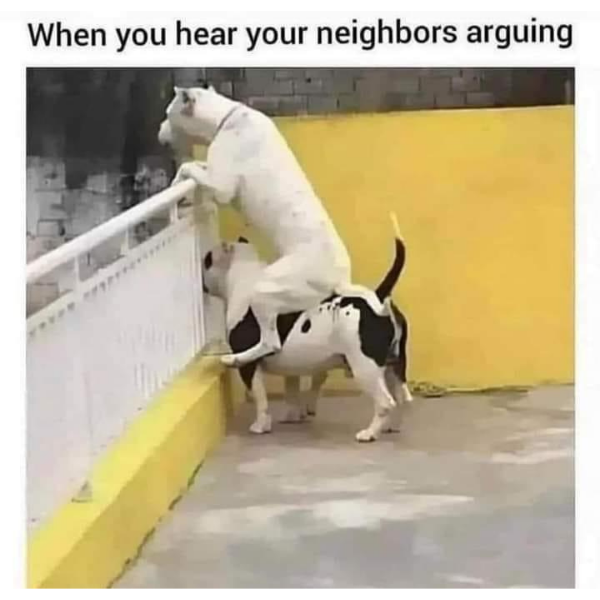 monday morning randomness - dog - When you hear your neighbors arguing