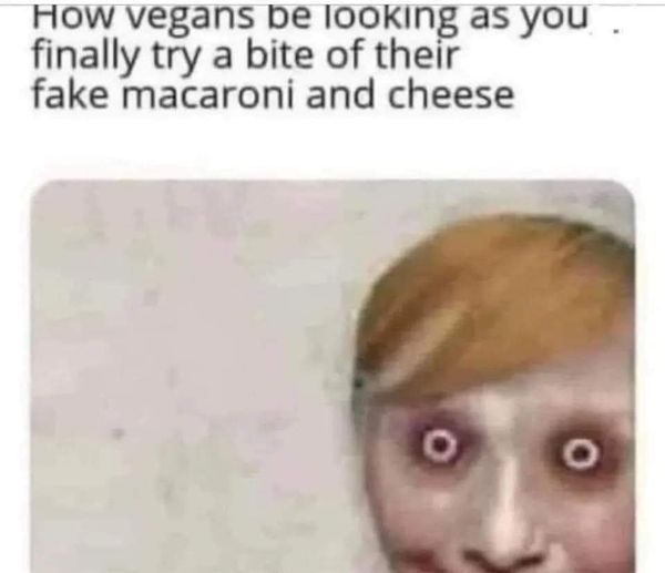 funny memes and pics - head - How vegans be looking as you finally try a bite of their fake macaroni and cheese