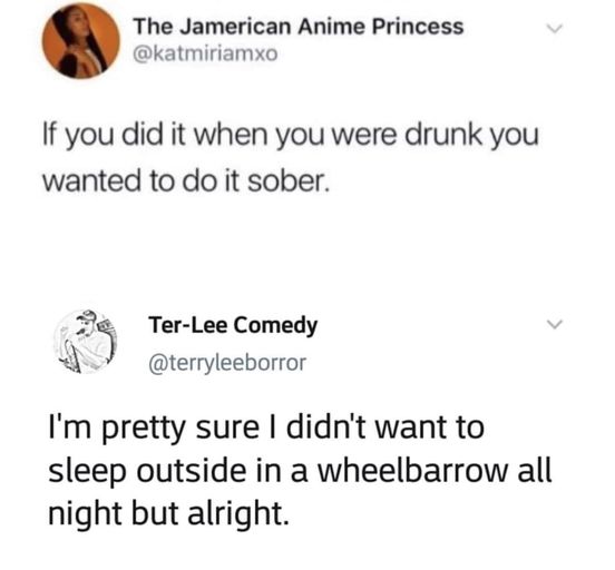 funny memes and pics - if you did it drunk you wanted - The Jamerican Anime Princess If you did it when you were drunk you wanted to do it sober. TerLee Comedy I'm pretty sure I didn't want to sleep outside in a wheelbarrow all night but alright.