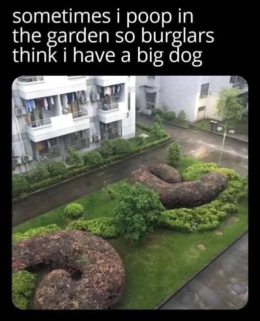 funny memes and pics - grass - sometimes i poop in the garden so burglars think i have a big dog