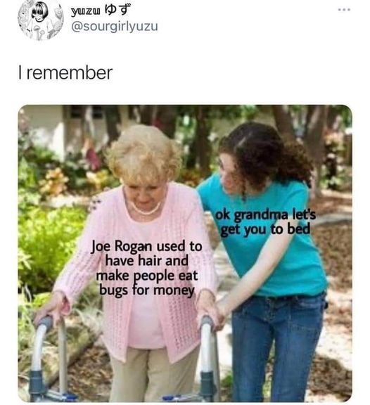 funny memes and pics - stackoverflow chatgpt meme - yuzu I remember Joe Rogan used to have hair and make people eat bugs for money ok grandma let's get you to bed