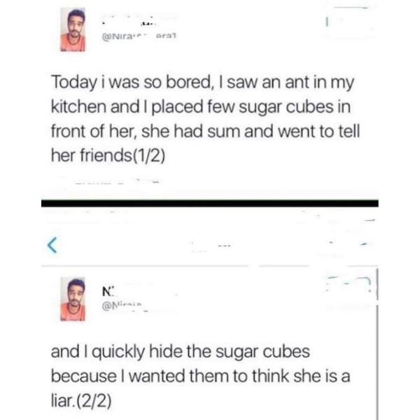 funny memes and pics - web page - oral Today i was so bored, I saw an ant in my kitchen and I placed few sugar cubes in front of her, she had sum and went to tell her friends 12