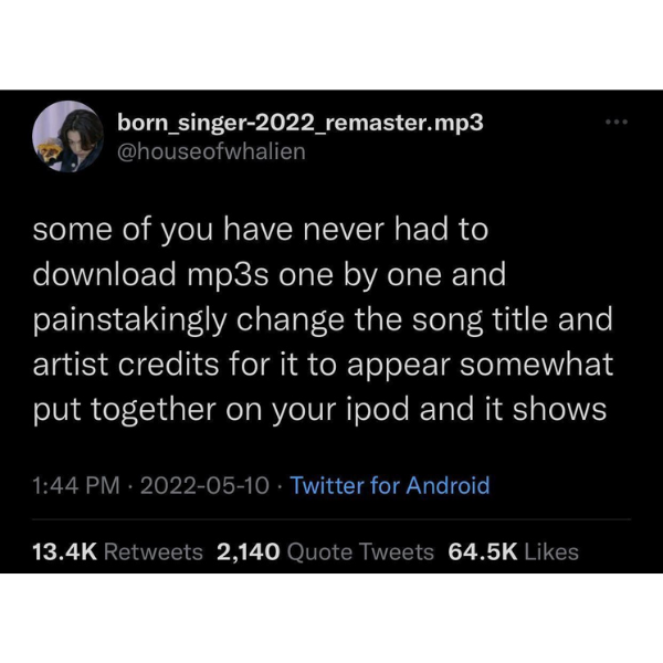funny memes and pics - born_singer2022_remaster.mp3 some of you have never had to download mp3s one by one and painstakingly change the song title and artist credits for it to appear somewhat put together on your ipod and it shows Twitter for Android 2,14