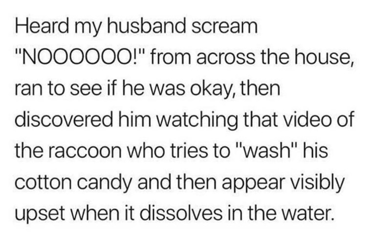 funny memes and pics - preventive medicine - Heard my husband scream "Noooooo!" from across the house, ran to see if he was okay, then discovered him watching that video of the raccoon who tries to "wash" his cotton candy and then appear visibly upset whe