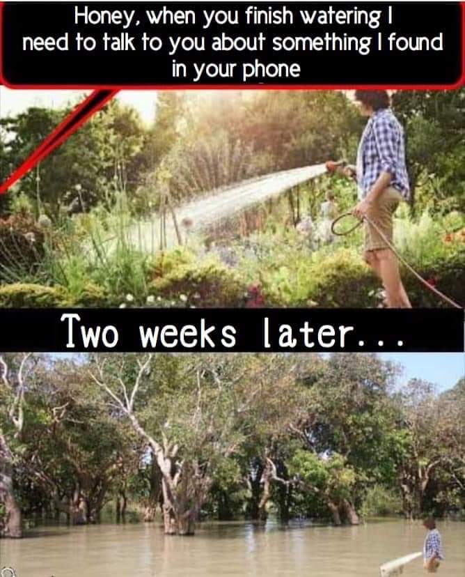 fresh memes - flooding meme - Honey, when you finish watering I need to talk to you about something I found in your phone Two weeks later... Effec