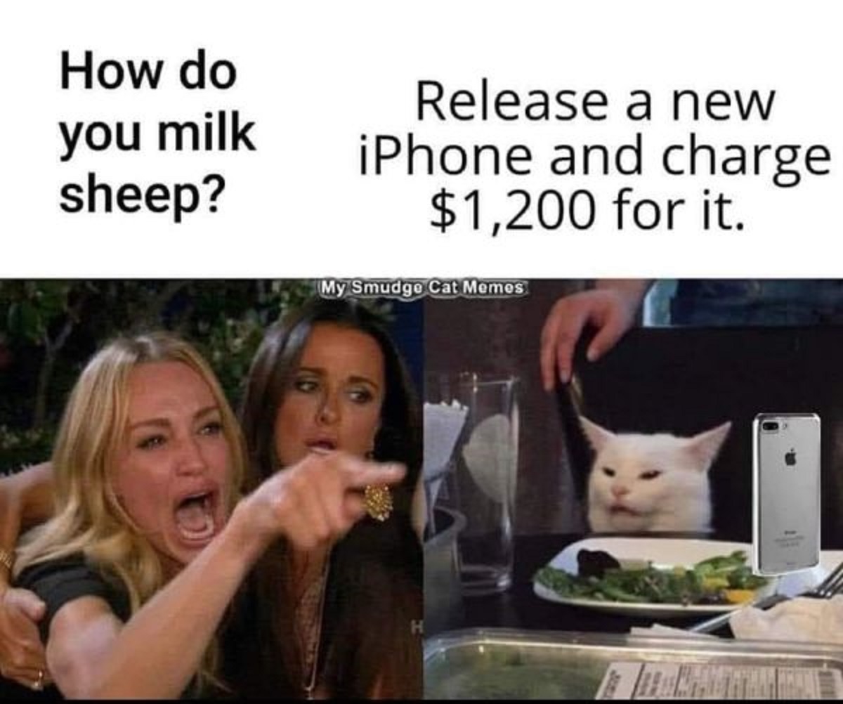 29 Trending Memes and Pics Offering a Balanced Diet of Funny 