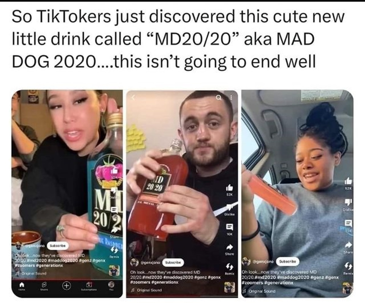 photo caption - So TikTokers just discovered this cute new little drink called "MD2020" aka Mad Dog 2020....this isn't going to end well Mi 202 Id 20 20 genjono Sescribe cook...now they've discovered Md 2020 md2020 agenx zoomers Original Sound 8 P Ggengon