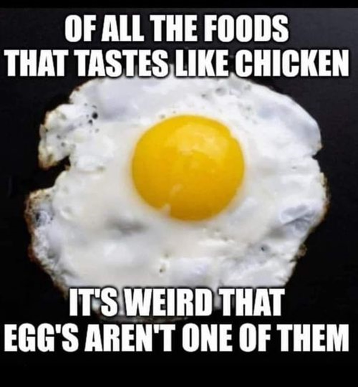 fried egg - Of All The Foods That Tastes Chicken It'S Weird That Egg'S Aren'T One Of Them