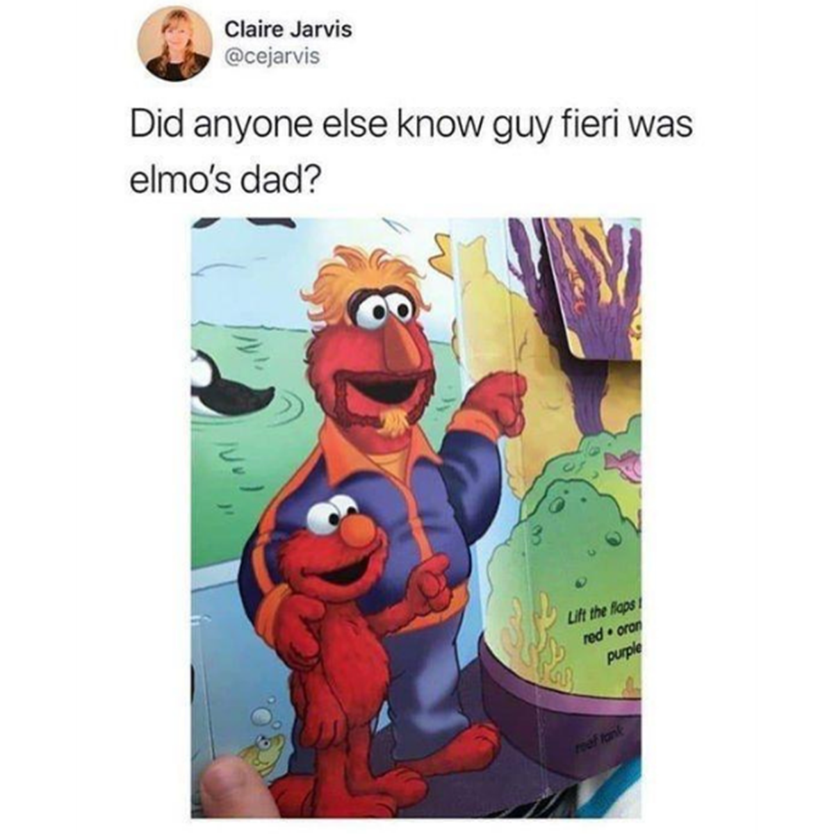 cartoon - Claire Jarvis Did anyone else know guy fieri was elmo's dad? Lift the flops red ora purple