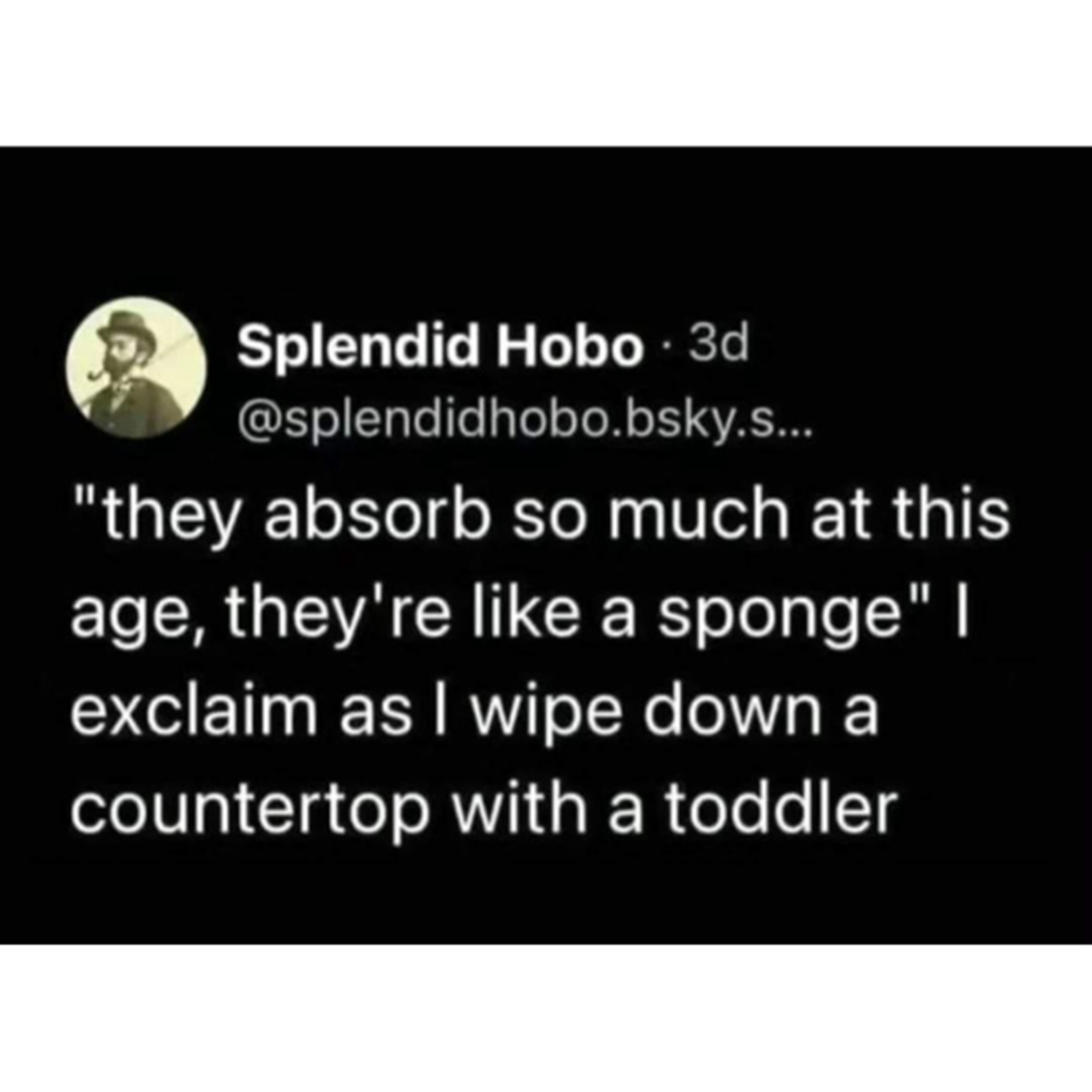 screenshot - Splendid Hobo 3d .bsky.s... "they absorb so much at this age, they're a sponge" I exclaim as I wipe down a countertop with a toddler