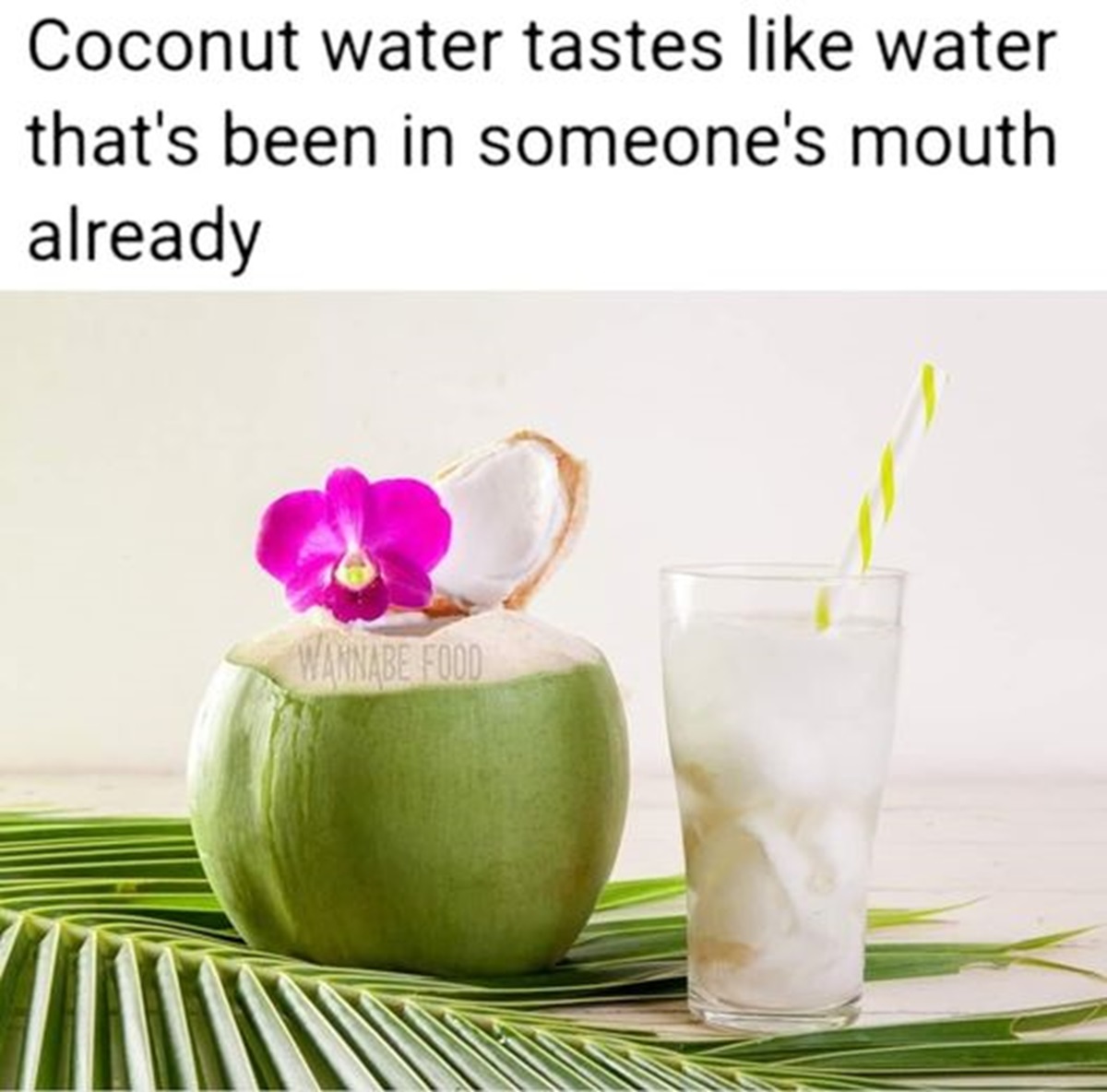 Coconut water - Coconut water tastes water that's been in someone's mouth already Wannabe Food