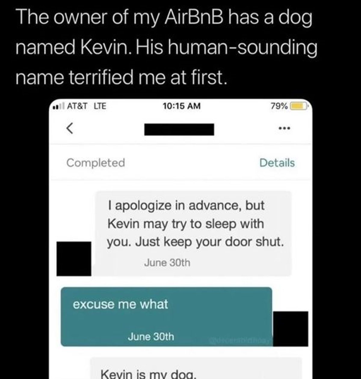 screenshot - The owner of my AirBnB has a dog named Kevin. His humansounding name terrified me at first. At&T Lte