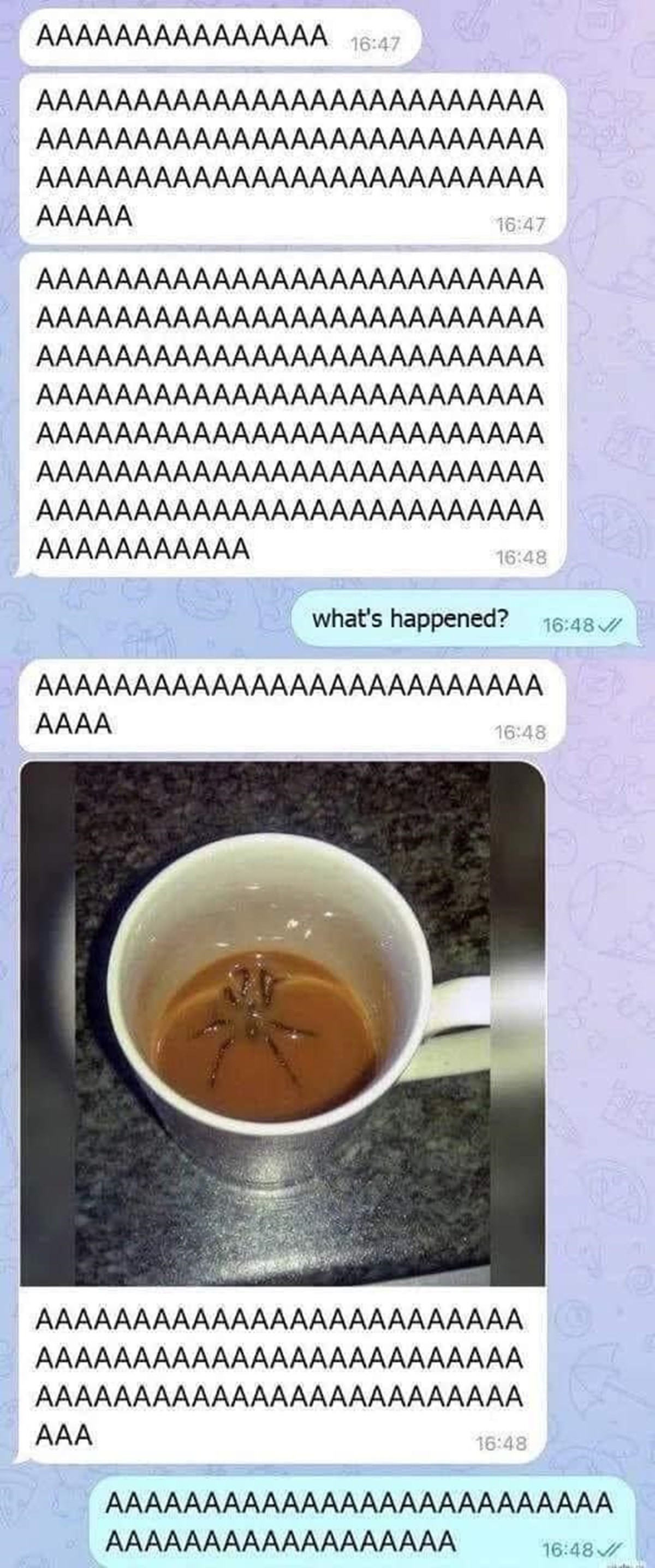 aaaaaaaa spider - Aaaaaaaaaaaaaaa Aaaaaaaaaaaaaaaaa. Aaaaaaa Aaaaaa Aaaaa Aaaaaaaaaaaaa Aaaaaaa Aaaaaaaaaaaaaaaaaaaaaaaaaa Aaaaaaaa Aaaa Aaaaaaa Aaaa Aaaaaaaa Aaaaaaaaaa Aaaaaaaaaaa Aaaaaaaa Aaaaaaaaaaa what's happened? Aaaaaa Aaaa Aaaaaaaaaaaaaaaaaaaaaaa