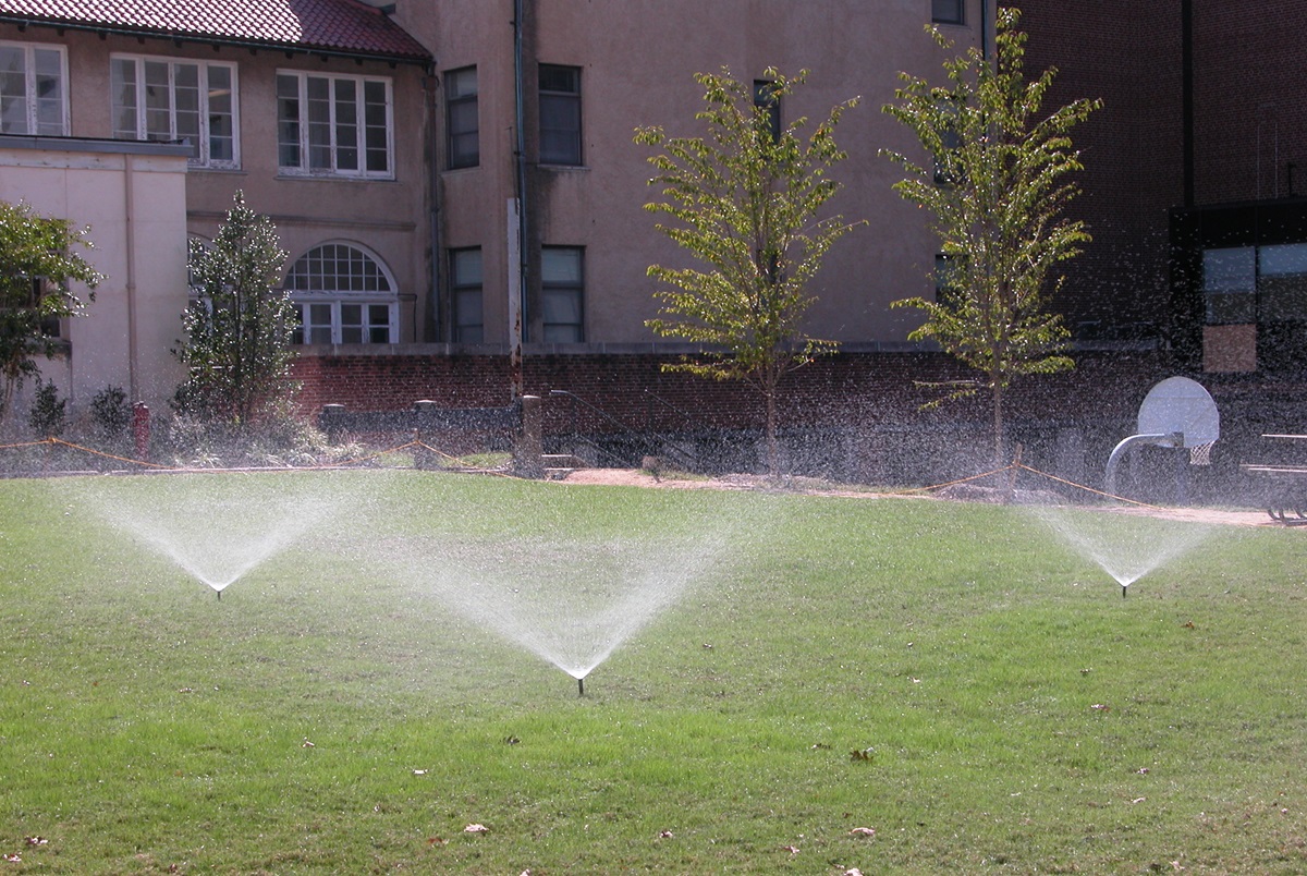 Pop up sprinkler heads.